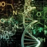 گسیبکملنگسلنمسگیبکمل